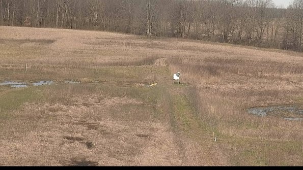 Cell 1 to 2 Monitoring-22-04-16_09-42-17-75