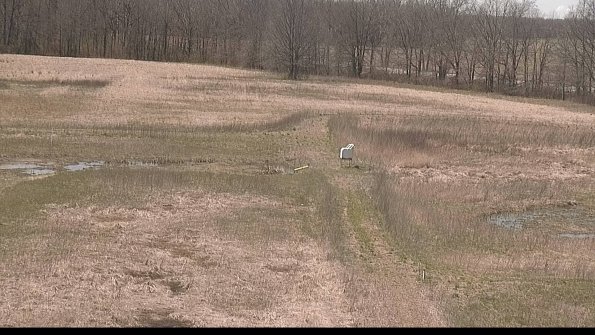 Cell 1 to 2 Monitoring-22-04-16_13-50-51-65