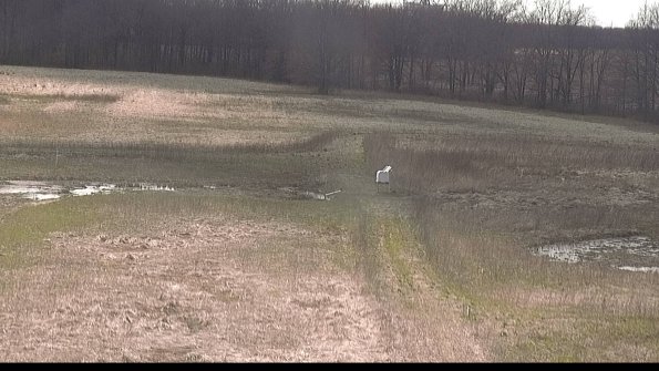 Cell 1 to 2 Monitoring-22-04-16_15-55-08-60