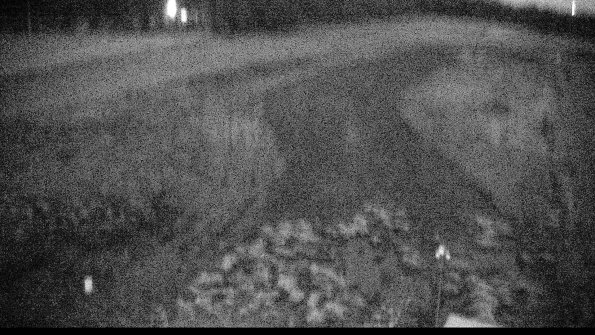 Cell 1-22-04-16_06-35-39-83