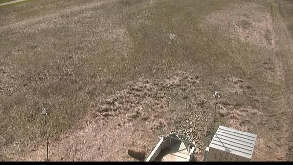 Cell 1-22-04-16_15-54-54-62