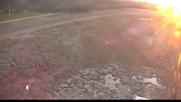 Cell 1-22-04-16_20-03-29-53