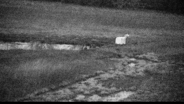 Cell 2 to 3 Monitoring-22-04-16_06-36-20-80