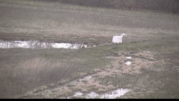 Cell 2 to 3 Monitoring-22-04-16_07-22-41-79