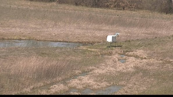 Cell 2 to 3 Monitoring-22-04-16_12-49-10-67