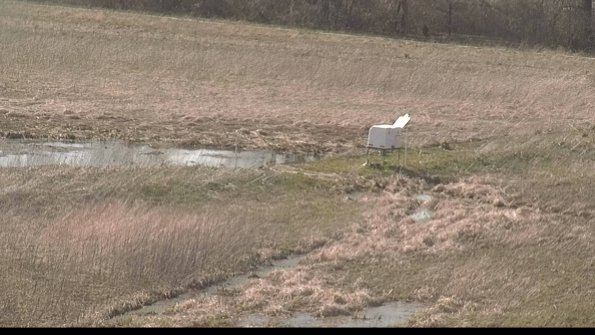 Cell 2 to 3 Monitoring-22-04-16_16-57-43-60