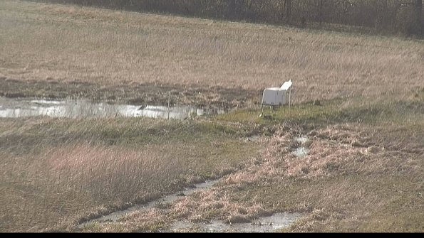 Cell 2 to 3 Monitoring-22-04-16_17-59-52-58