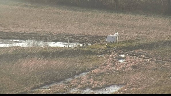 Cell 2 to 3 Monitoring-22-04-16_19-02-01-56