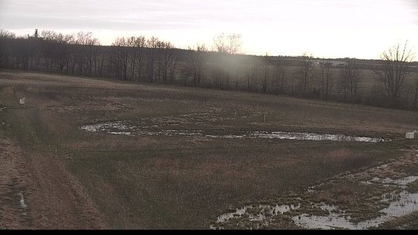 Cell 2-22-04-16_07-38-15-79