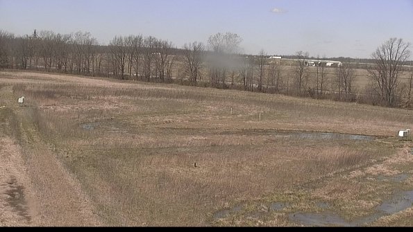 Cell 2-22-04-16_12-48-56-69