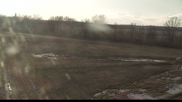 Cell 2-22-04-16_19-01-47-55