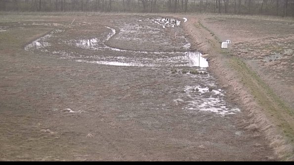 Cell 3 to 4 Monitoring-22-04-16_07-38-57-79