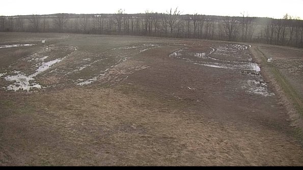 Cell 3-22-04-16_07-38-43-78