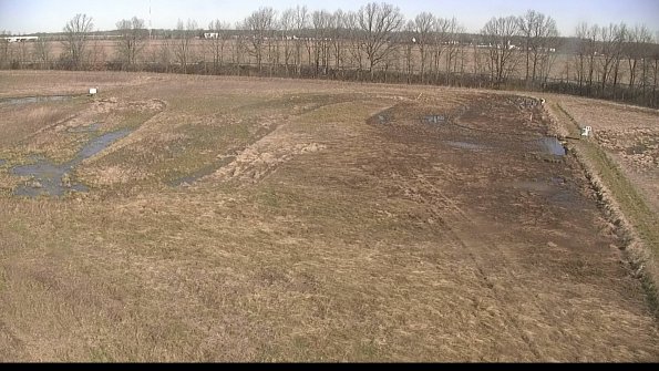 Cell 3-22-04-16_09-42-59-72