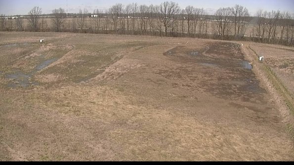 Cell 3-22-04-16_12-49-24-68