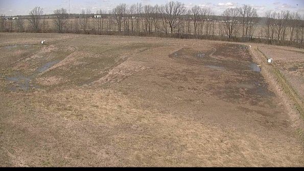 Cell 3-22-04-16_13-51-33-66