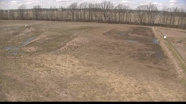 Cell 3-22-04-16_14-53-41-63