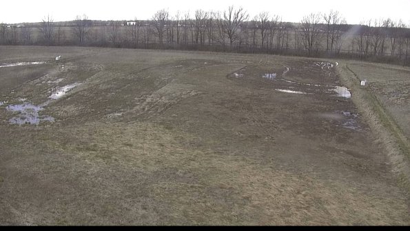 Cell 3-22-04-16_15-55-49-61