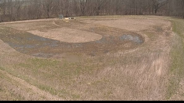 Cell 4-22-04-16_11-47-44-70