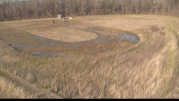 Cell 4-22-04-16_19-02-43-57