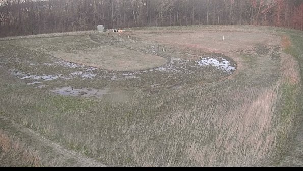 Cell 4-22-04-16_20-04-52-55