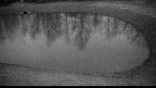 Settling basin-22-04-16_06-35-24-81