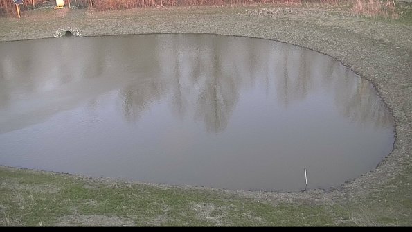 Settling basin-22-04-16_20-03-13-55