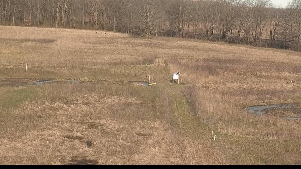 Cell 1 to 2 Monitoring-22-04-17_08-29-29-17