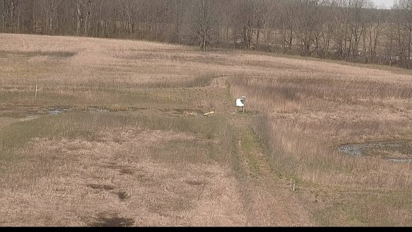 Cell 1 to 2 Monitoring-22-04-17_10-33-46-12