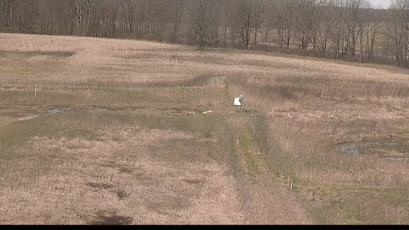 Cell 1 to 2 Monitoring-22-04-17_11-35-55-09