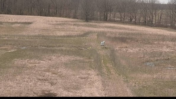 Cell 1 to 2 Monitoring-22-04-17_13-40-12-07