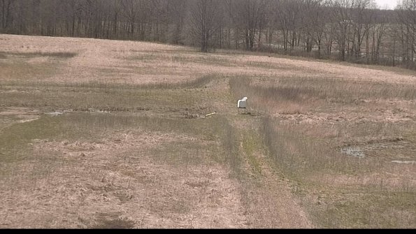 Cell 1 to 2 Monitoring-22-04-17_14-42-21-05