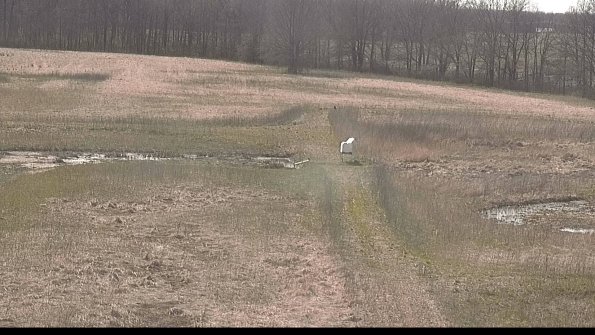 Cell 1 to 2 Monitoring-22-04-17_16-46-38-00