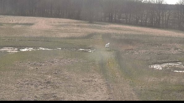 Cell 1 to 2 Monitoring-22-04-17_17-48-45-98