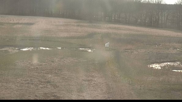 Cell 1 to 2 Monitoring-22-04-17_18-50-54-95