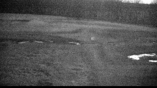 Cell 1 to 2 Monitoring-22-04-17_20-55-11-89