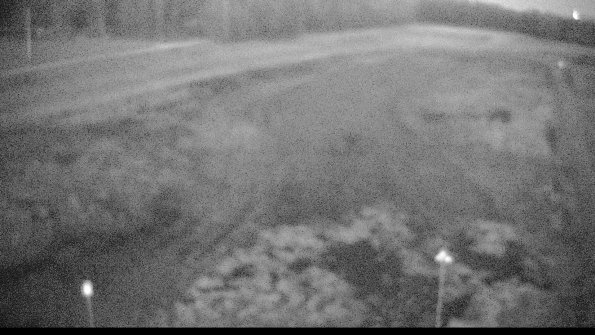 Cell 1-22-04-17_06-24-57-22