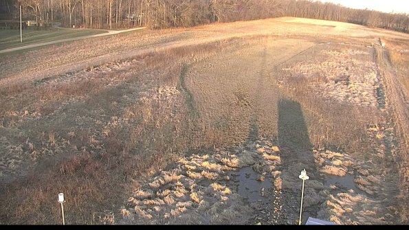 Cell 1-22-04-17_07-27-06-19