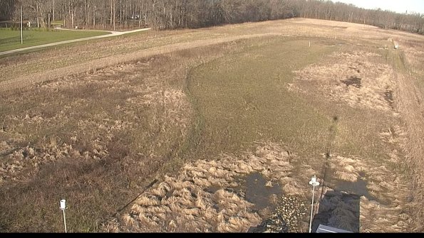 Cell 1-22-04-17_08-29-15-19