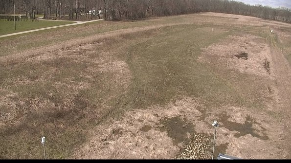 Cell 1-22-04-17_11-35-41-11