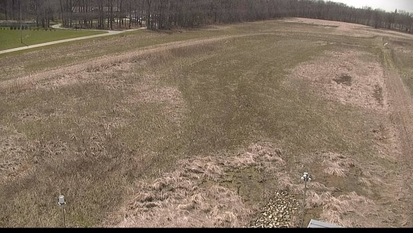 Cell 1-22-04-17_14-42-07-04