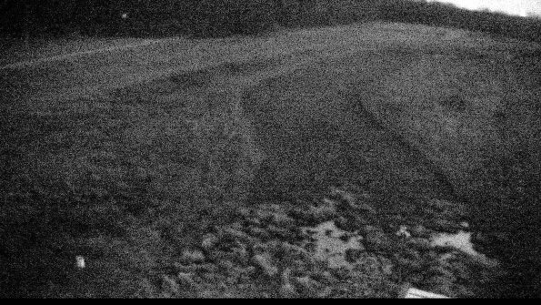 Cell 1-22-04-17_20-54-57-91