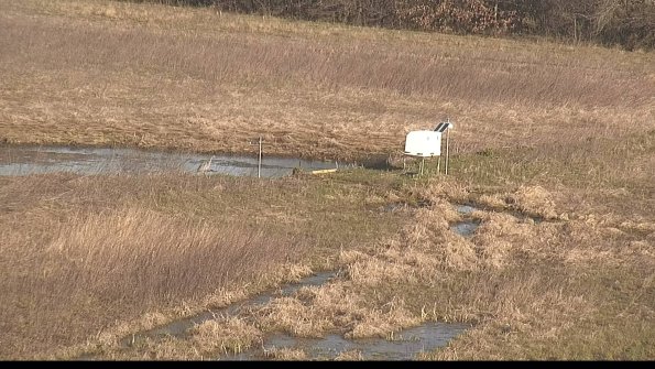 Cell 2 to 3 Monitoring-22-04-17_08-29-55-16