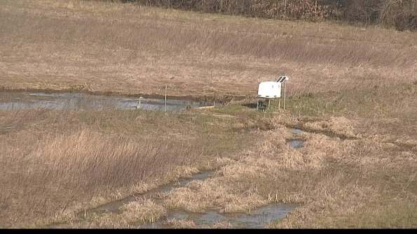 Cell 2 to 3 Monitoring-22-04-17_09-32-04-14