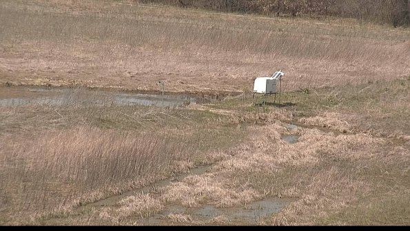 Cell 2 to 3 Monitoring-22-04-17_13-40-39-07