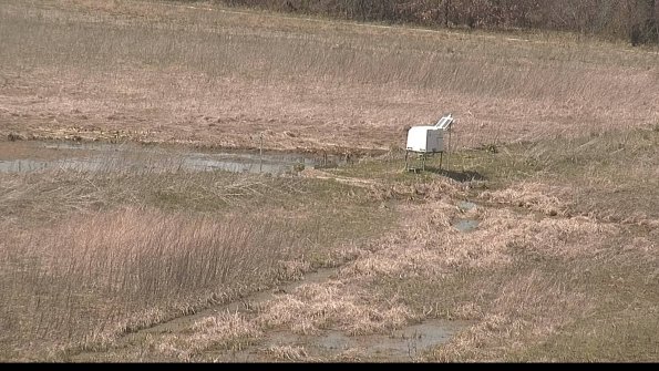 Cell 2 to 3 Monitoring-22-04-17_14-42-48-04