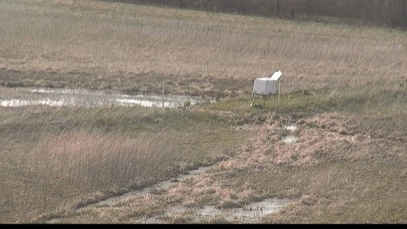 Cell 2 to 3 Monitoring-22-04-17_17-49-12-97