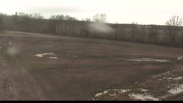 Cell 2-22-04-17_18-51-07-97