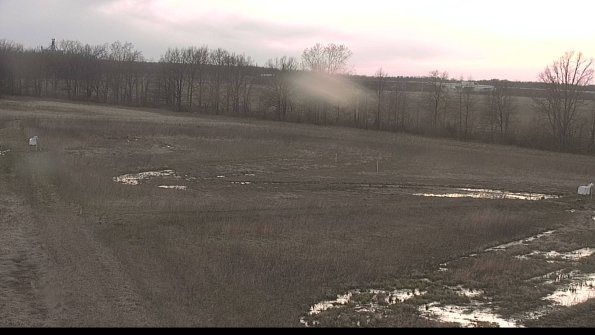 Cell 2-22-04-17_19-53-16-94