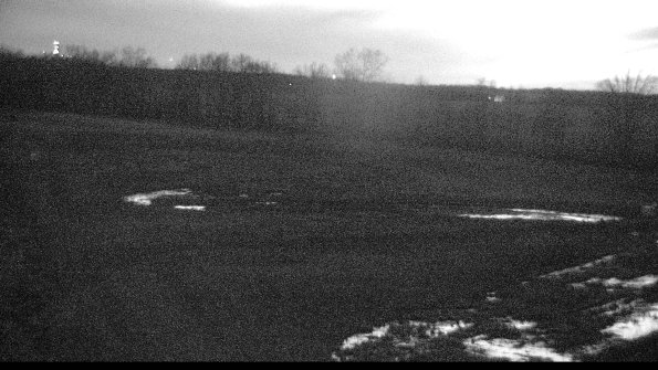 Cell 2-22-04-17_20-55-24-91